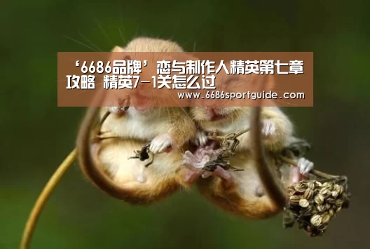 6686官网