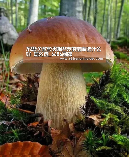 6686直播