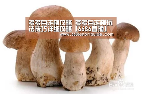 多多自走棋攻略 多多自走棋玩法技巧详细攻略【6686直播】(图3) 6686直播