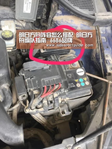 6686直播
