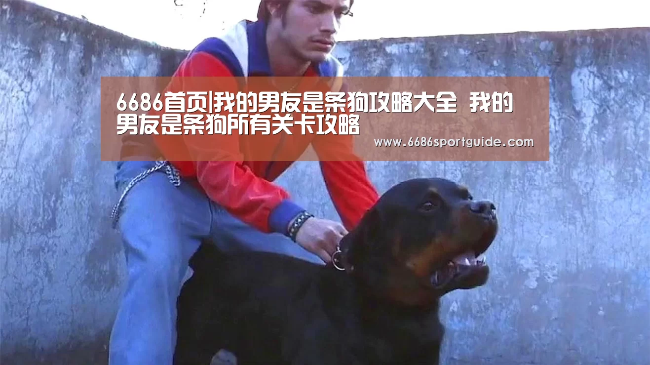 6686首页|我的男友是条狗攻略大全 我的男友是条狗所有关卡攻略(图3) 6686官网